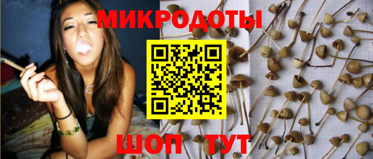 Новоалтайск  Псилоцибиновые грибы ЛСД  Вход с VPN 